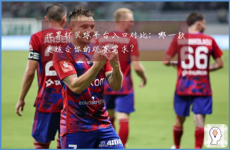 世界杯买球平台入口对比：哪一款更适合你的观赛需求？