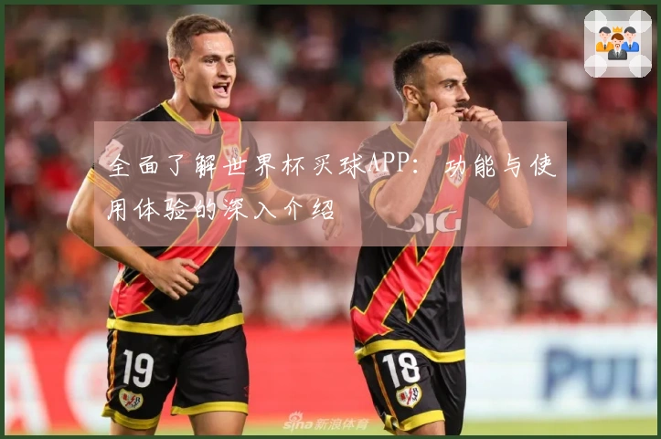 全面了解世界杯买球APP：功能与使用体验的深入介绍