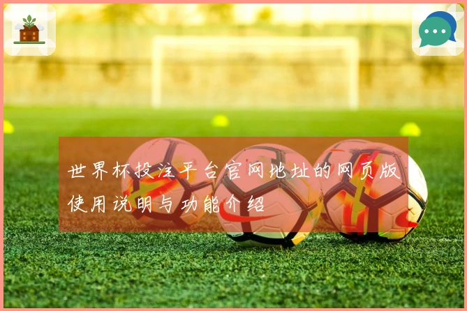 世界杯投注平台官网地址的网页版使用说明与功能介绍