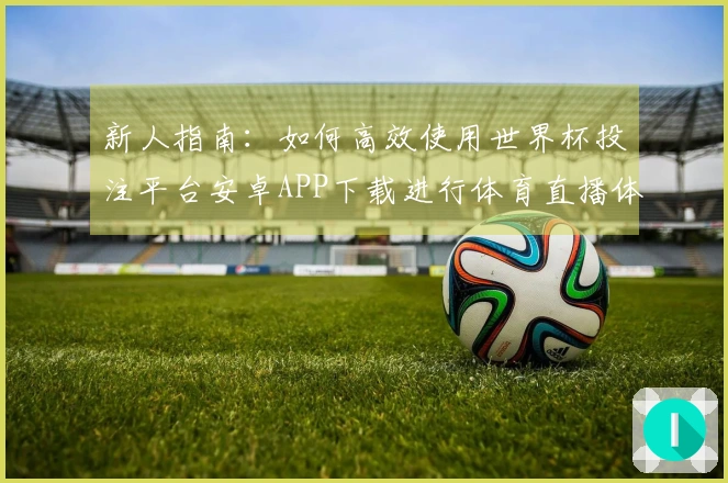 新人指南：如何高效使用世界杯投注平台安卓APP下载进行体育直播体验