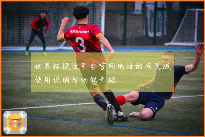 世界杯投注平台官网地址的网页版使用说明与功能介绍