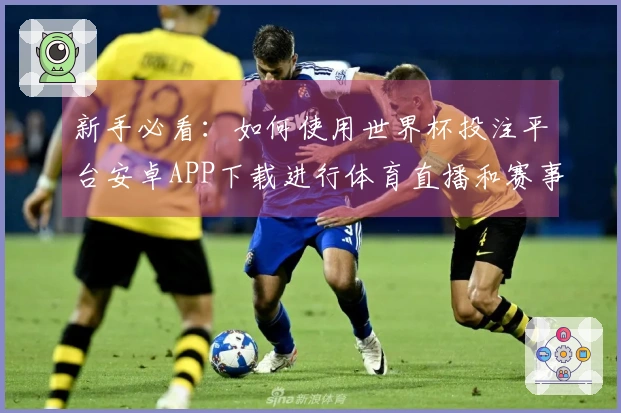 新手必看：如何使用世界杯投注平台安卓APP下载进行体育直播和赛事查看