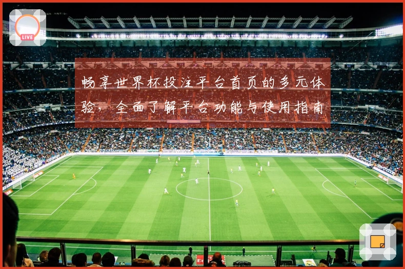 畅享世界杯投注平台首页的多元体验，全面了解平台功能与使用指南