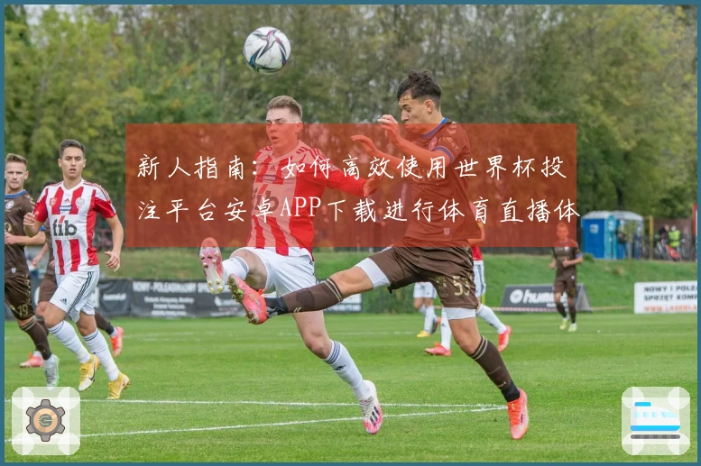 新人指南：如何高效使用世界杯投注平台安卓APP下载进行体育直播体验