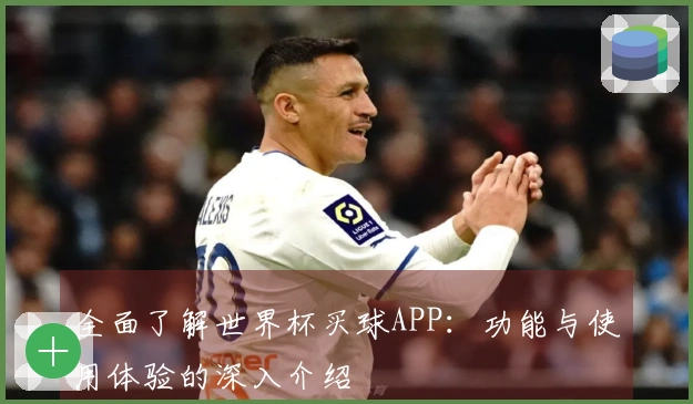 全面了解世界杯买球APP:功能与使用体验的深入介绍